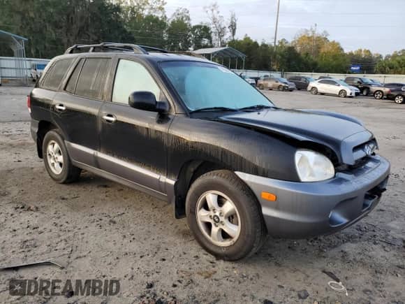 2005 Hyundai Santa Fe GLS z VIN KM8SC13E25U941748, wystawiony jako Copart lot #79509904 z przebiegiem 135 000 mil mil oraz Szkoda całkowita • Salvage title. Historia ofert i sprzedaży dostępna na DreamBid. Obrazek 4.