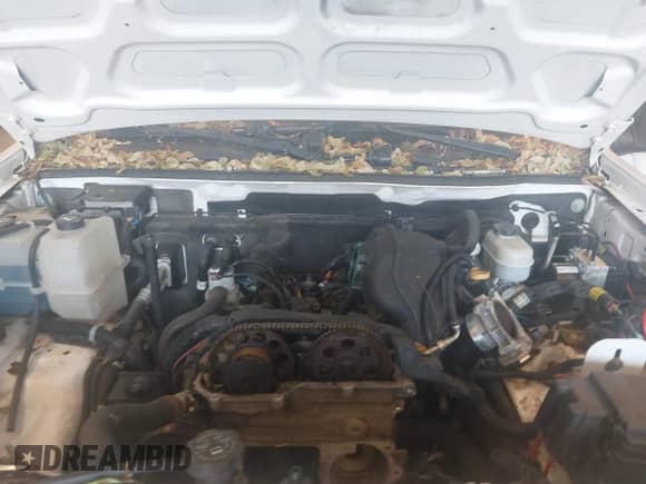 2011 Chevrolet Colorado Work Truck с VIN 1GCCSBF99B8126855, выставлен на аукционе IAAI как лот 42847262 с пробегом 170 115 миль миль и . История ставок и продаж доступна на DreamBid. Изображение 10.