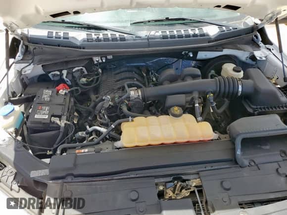 2019 Ford F-150 XL с VIN 1FTEX1CB5KKC41354, выставлен на аукционе Copart как лот 67078075 с пробегом 32 450 миль миль и Списание • Salvage title. История ставок и продаж доступна на DreamBid. Изображение 11.