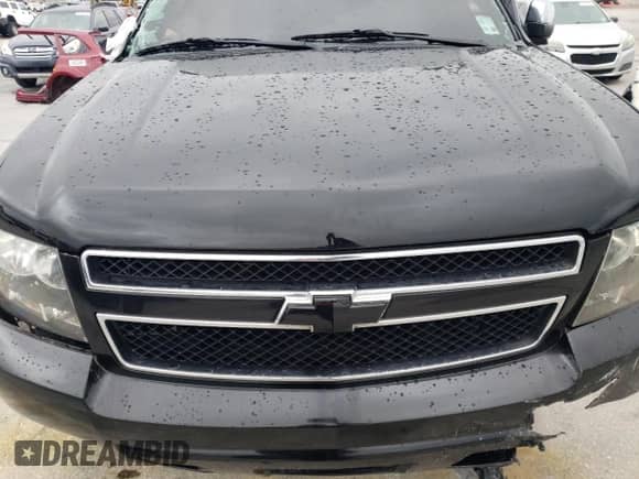 2009 Chevrolet Avalanche 1LT with VIN 3GNEC22J79G164005, listed as a Copart auction lot 52026655 with Not provided miles and Salvage title. Bid and sale history available at DreamBid. Image 12.