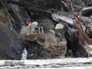 2023 Nissan Murano S с VIN 5N1AZ2AS9PC111527, выставлен на аукционе IAAI как лот 42893988 с пробегом Не указан миль и . История ставок и продаж доступна на DreamBid. Изображение 8.