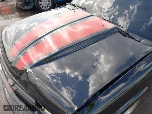 1998 Chevrolet S-10 LS Xtreme с VIN 1GCCS14W3W8216530, выставлен на аукционе IAAI как лот 42553139 с пробегом 132 130 миль миль и . История ставок и продаж доступна на DreamBid. Изображение 18.