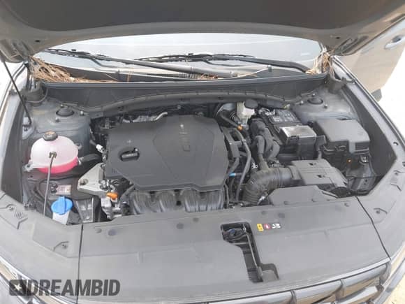 2024 Hyundai Tucson SE с VIN 5NMJACDE9RH392272, выставлен на аукционе IAAI как лот 42038490 с пробегом 14 594 миль миль и . История ставок и продаж доступна на DreamBid. Изображение 10.