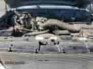 1994 Ford F-150 с VIN 1FTEF14N4RLA63257, выставлен на аукционе Copart как лот 82044945 с пробегом 254 508 миль миль и Списание • Salvage title. История ставок и продаж доступна на DreamBid. Изображение 11.