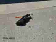 2010 Hyundai Santa Fe GLS with VIN 5NMSG3AB0AH405072, listed as a Copart auction lot 70176135 with Not provided miles and Salvage title. Bid and sale history available at DreamBid. Image 13.