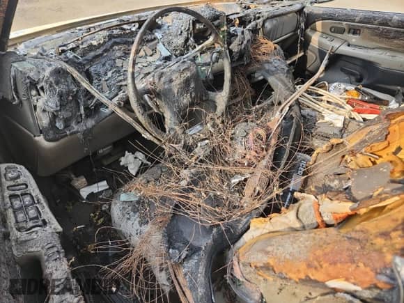 2002 Chevrolet Tahoe LT with VIN 1GNEK13Z72J171249, listed as a Copart auction lot 66718915 with Not provided miles and Non repairable. Bid and sale history available at DreamBid. Image 8.