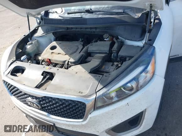 2018 Kia Sorento LX с VIN 5XYPGDA35JG345577, выставлен на аукционе IAAI как лот 42546355 с пробегом 122 748 миль миль и . История ставок и продаж доступна на DreamBid. Изображение 10.