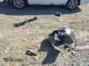 2022 Ford Mustang GT with VIN 1FA6P8CF8N5135411, listed as a IAAI auction lot 43071297 with 10,720 mi miles and . Bid and sale history available at DreamBid. Image 12.