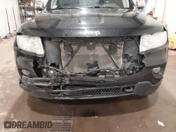 2011 Jeep Grand Cherokee 70th Anniversary с VIN 1J4RR4GG3BC680723, выставлен на аукционе IAAI как лот 41748828 с пробегом 166 480 миль миль и . История ставок и продаж доступна на DreamBid. Изображение 6.