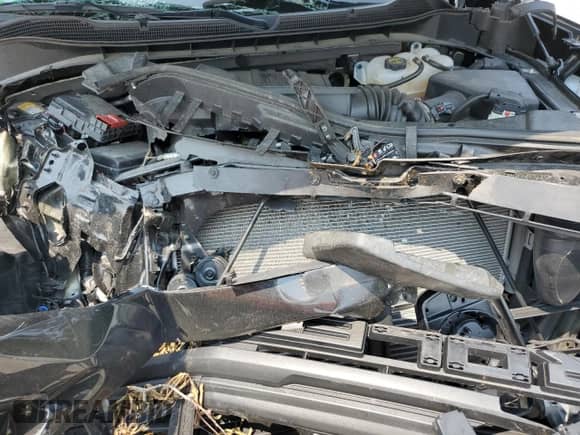 2024 Chevrolet Silverado 1500 Custom Trail Boss with VIN 3GCPDCEK9RG328282, listed as a Copart auction lot 59040895 with Not provided miles and Salvage title. Bid and sale history available at DreamBid. Image 11.