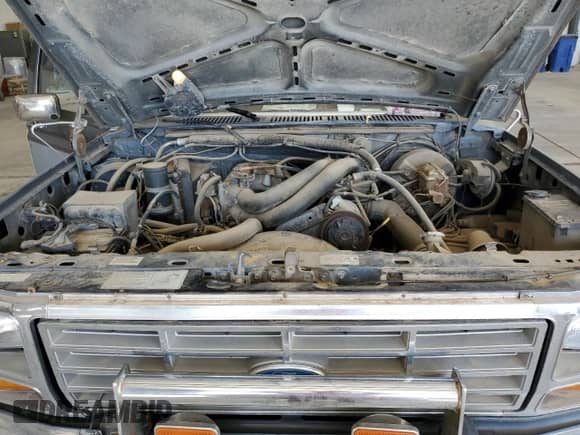 1986 Ford F-150 z VIN 1FTEF14NXGPB18719, wystawiony jako Copart lot #56383625 z przebiegiem 16 249 mil mil oraz Szkoda całkowita • Salvage title. Historia ofert i sprzedaży dostępna na DreamBid. Obrazek 11.