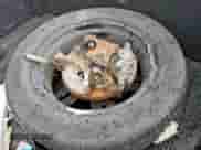 2005 Chevrolet Silverado 1500 z VIN 1GCEC14X45Z352690, wystawiony jako Copart lot #63140875 z przebiegiem 105 293 mil mil oraz Szkoda całkowita • Salvage title. Historia ofert i sprzedaży dostępna na DreamBid. Obrazek 12.