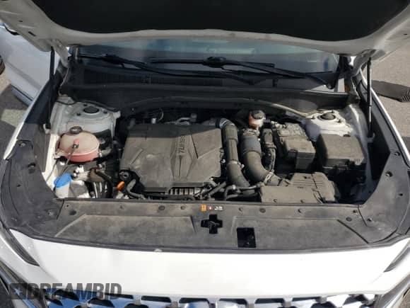 2023 Hyundai Santa Fe Limited with VIN 5NMS4DAL9PH515800, listed as a Copart auction lot 80638005 with 78,050 mi miles and Clean title. Bid and sale history available at DreamBid. Image 12.