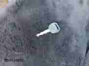 2004 Chevrolet Tahoe LT z VIN 1GNEC13Z94R254067, wystawiony jako IAAI lot #43134515 z przebiegiem 316 521 mil mil oraz . Historia ofert i sprzedaży dostępna na DreamBid. Obrazek 11.