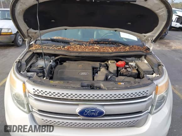 2011 Ford Explorer with VIN 1FMHK8B85BGA22662, listed as a IAAI auction lot 41470525 with 160,503 mi miles and . Bid and sale history available at DreamBid. Image 10.
