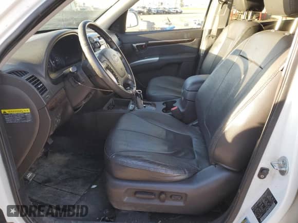 2010 Hyundai Santa Fe SE z VIN 5NMSHDAG7AH377091, wystawiony jako Copart lot #91023025 z przebiegiem 250 358 mil mil oraz Czysty tytuł • Clean title. Historia ofert i sprzedaży dostępna na DreamBid. Obrazek 7.