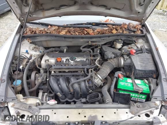 2009 Honda Accord LX with VIN 1HGCP26339A104464, listed as a IAAI auction lot 43457542 with 299,617 mi miles and . Bid and sale history available at DreamBid. Image 10.