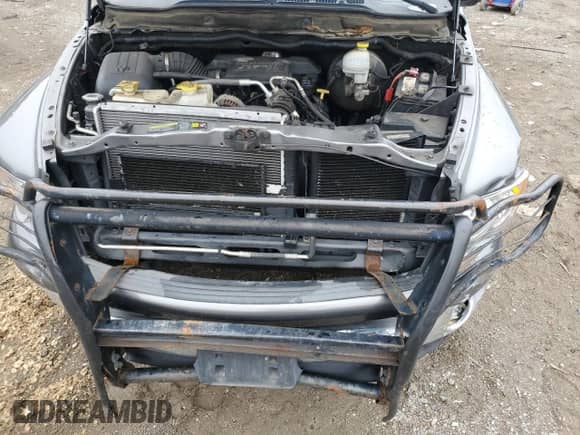 2005 Dodge 1500 SLT с VIN 1D7HU18D35S188891, выставлен на аукционе Copart как лот 69399425 с пробегом 161 551 миль миль и Списание • Salvage title. История ставок и продаж доступна на DreamBid. Изображение 11.