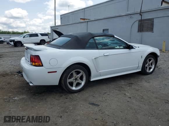 2001 Ford Mustang SVT Cobra with VIN 1FAFP46V61F243297, listed as a Copart auction lot 59659325 with 95,707 mi miles and Salvage title. Bid and sale history available at DreamBid. Image 3.