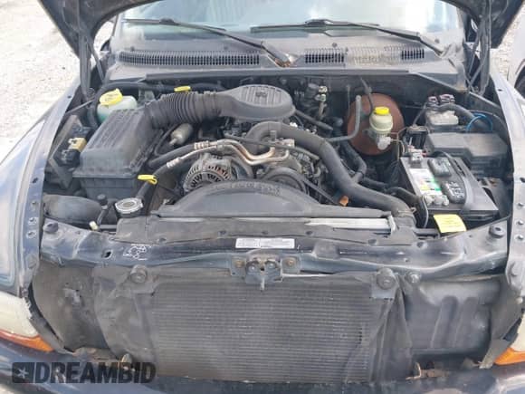 1998 Dodge Durango with VIN 1B4HS28Y1WF197542, listed as a IAAI auction lot 42319784 with 279,052 mi miles and . Bid and sale history available at DreamBid. Image 10.