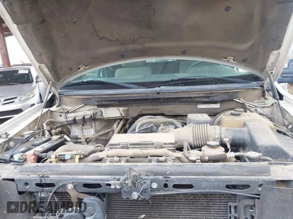 2009 Ford F-150 STX with VIN 1FTRX12849FA63821, listed as a IAAI auction lot 42164385 with 199,882 mi miles and . Bid and sale history available at DreamBid. Image 10.