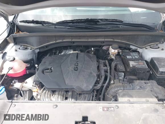 2024 Kia Sorento S with VIN 5XYRL4JC8RG289604, listed as a IAAI auction lot 42540729 with 31,815 mi miles and . Bid and sale history available at DreamBid. Image 10.