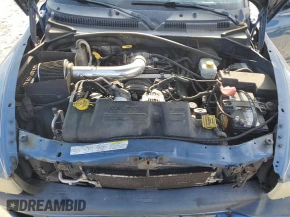 2003 Dodge Dakota Sport with VIN 1D7HL38N93S355503, listed as a Copart auction lot 53666655 with 174,638 mi miles and Salvage title. Bid and sale history available at DreamBid. Image 11.