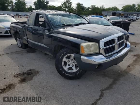 2005 Dodge Dakota SLT with VIN 1D7HW42N65S110862, listed as a Copart auction lot 64980665 with Not provided miles and Salvage title. Bid and sale history available at DreamBid. Image 4.