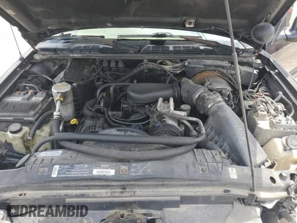 1996 Chevrolet Blazer with VIN 1GNDT13W8T2222722, listed as a Copart auction lot 65243055 with 195,725 mi miles and Salvage title. Bid and sale history available at DreamBid. Image 12.