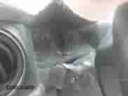 2022 Toyota Tacoma SR with VIN 3TYSX5EN9NT014347, listed as a IAAI auction lot 41631557 with 10 mi miles and . Bid and sale history available at DreamBid. Image 15.