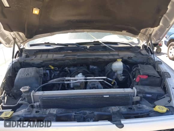 2009 Dodge 1500 Sport with VIN 1D3HV18T89S759738, listed as a IAAI auction lot 42570658 with 236,760 mi miles and . Bid and sale history available at DreamBid. Image 10.