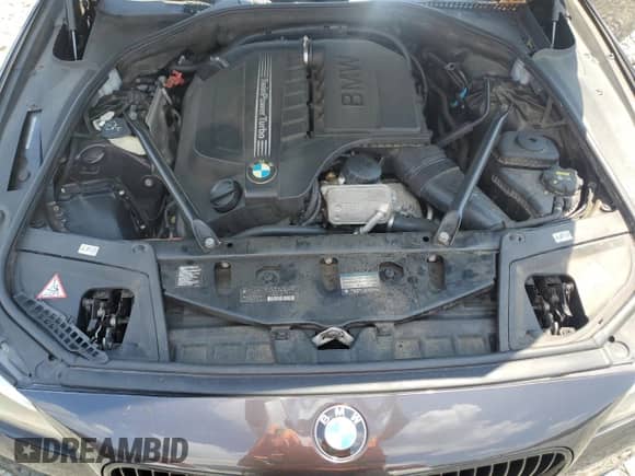 2015 BMW 5 Series 535i xDrive with VIN WBA5B3C52FD547312, listed as a Copart auction lot 66416015 with 134,895 mi miles and Salvage title. Bid and sale history available at DreamBid. Image 11.