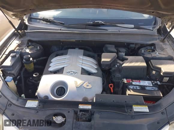 2007 Hyundai Santa Fe SE с VIN 5NMSH13E77H088053, выставлен на аукционе IAAI как лот 43412287 с пробегом 144 917 миль миль и . История ставок и продаж доступна на DreamBid. Изображение 10.
