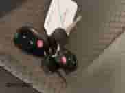 2011 Toyota Tundra с VIN 5TFUY5F12BX173049, выставлен на аукционе IAAI как лот 41552652 с пробегом 110 592 миль миль и . История ставок и продаж доступна на DreamBid. Изображение 11.