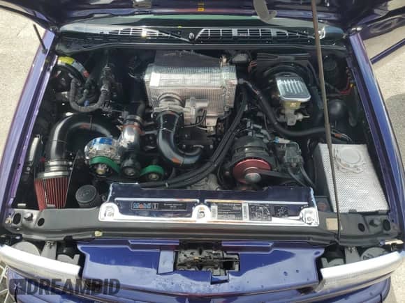 1995 Chevrolet S-10 LS с VIN 1GCCS1948S8187639, выставлен на аукционе Copart как лот 74999554 с пробегом 1 388 миль миль и Списание • Salvage title. История ставок и продаж доступна на DreamBid. Изображение 11.