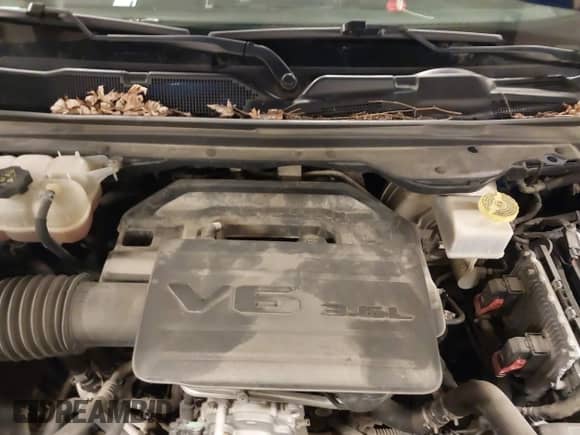 2020 Ram 1500 Big Horn with VIN 1C6RRFFG0LN317246, listed as a IAAI auction lot 41111564 with 141,503 mi miles and . Bid and sale history available at DreamBid. Image 10.