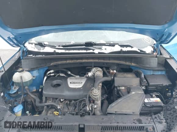 2017 Hyundai Tucson Sport z VIN KM8J3CA22HU313239, wystawiony jako IAAI lot #41649102 z przebiegiem 155 212 mil mil oraz . Historia ofert i sprzedaży dostępna na DreamBid. Obrazek 10.