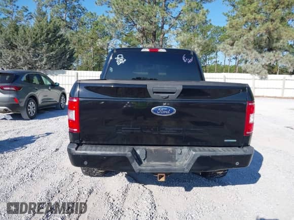 2018 Ford F-150 XLT z VIN 1FTEW1EP8JFC39133, wystawiony jako IAAI lot #43478321 z przebiegiem 132 367 mil mil oraz . Historia ofert i sprzedaży dostępna na DreamBid. Obrazek 16.