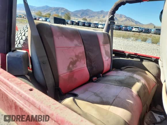 2001 Jeep Wrangler SE with VIN 1J4FA29P31P332021, listed as a Copart auction lot 91076825 with Not provided miles and Clean title. Bid and sale history available at DreamBid. Image 10.