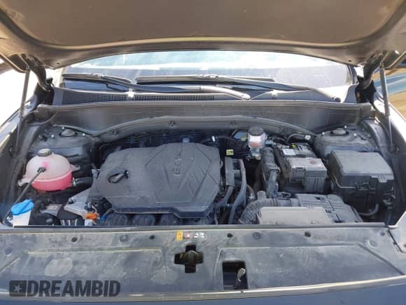 2022 Hyundai Santa Fe SEL с VIN 5NMS34AJ4NH476158, выставлен на аукционе IAAI как лот 43102453 с пробегом 23 741 миль миль и . История ставок и продаж доступна на DreamBid. Изображение 10.