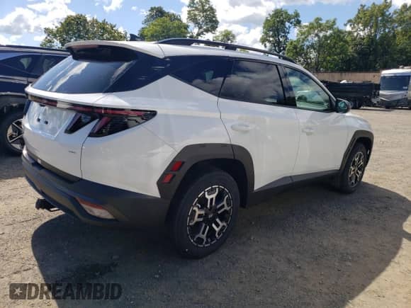 2025 Hyundai Tucson SEL with VIN 5NMJFCDE1SH502870, listed as a Copart auction lot 70522855 with 10 mi miles and Salvage title. Bid and sale history available at DreamBid. Image 3.