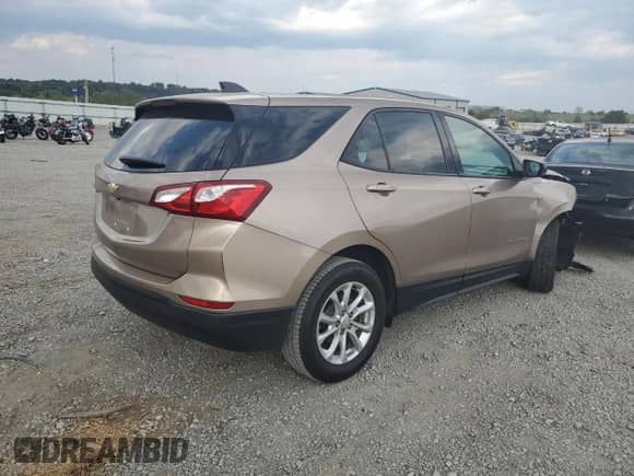 2019 Chevrolet Equinox LS z VIN 2GNAXHEV3K6278606, wystawiony jako Copart lot #80388615 z przebiegiem 142 122 mil mil oraz Szkoda całkowita • Salvage title. Historia ofert i sprzedaży dostępna na DreamBid. Obrazek 3.