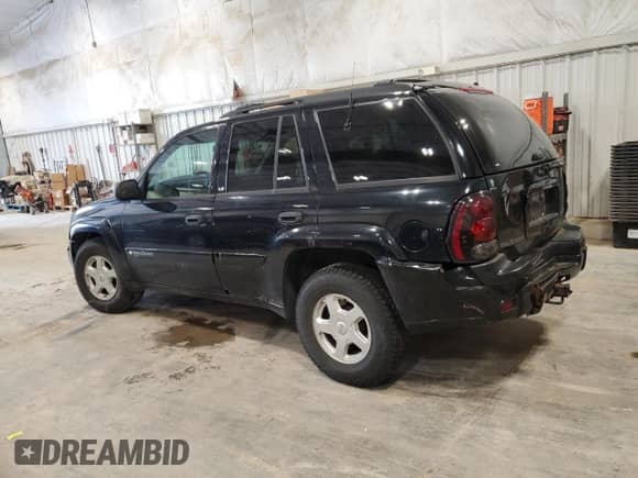 2002 Chevrolet TrailBlazer LS with VIN 1GNDT13S222266789, listed as a Copart auction lot 58767475 with 207,172 mi miles and Non repairable. Bid and sale history available at DreamBid. Image 2.