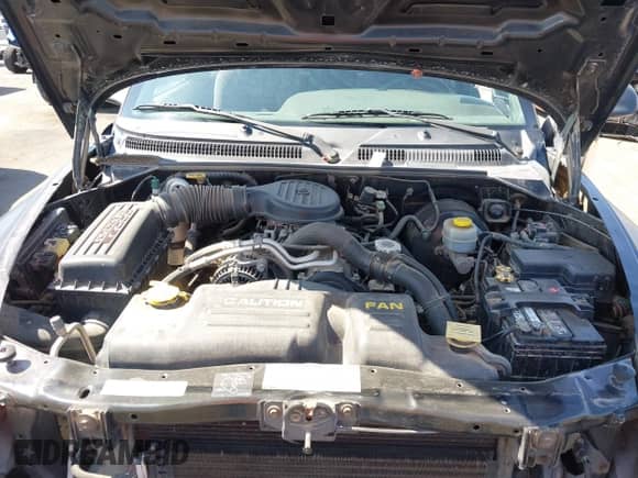 2000 Dodge Dakota with VIN 1B7GL22X5YS533537, listed as a IAAI auction lot 42672321 with 104,070 mi miles and . Bid and sale history available at DreamBid. Image 10.