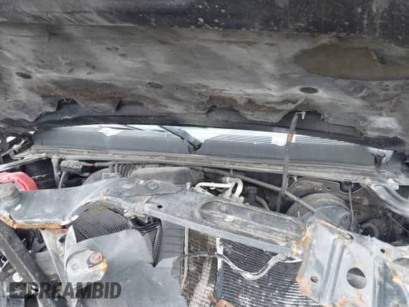 2008 Chevrolet Silverado 1500 Work Truck with VIN 1GCEK14X18Z196860, listed as a IAAI auction lot 41456077 with Not provided miles and . Bid and sale history available at DreamBid. Image 10.