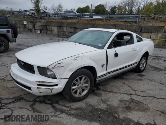 2009 Ford Mustang with VIN 1ZVHT80N995122020, listed as a Copart auction lot 85936615 with 126,766 mi miles and Salvage title. Bid and sale history available at DreamBid. Image 1.