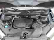 2024 Honda Passport Black Edition with VIN 5FNYF8H85RB500423, listed as a Copart auction lot 67436455 with 32,844 mi miles and Clean title. Bid and sale history available at DreamBid. Image 12.