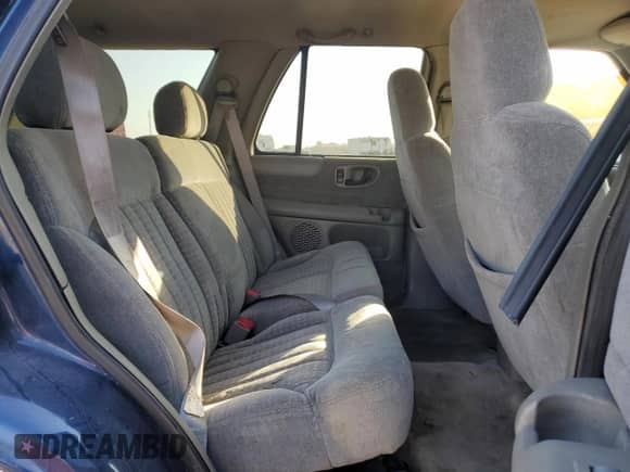 1999 Chevrolet Blazer LS z VIN 1GNCS13W9X2194269, wystawiony jako Copart lot #75468004 z przebiegiem 154 501 mil mil oraz Szkoda całkowita • Salvage title. Historia ofert i sprzedaży dostępna na DreamBid. Obrazek 11.