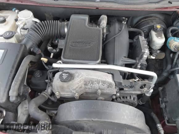 2008 Chevrolet TrailBlazer Fleet 2FL with VIN 1GNDT13S782255134, listed as a IAAI auction lot 43199251 with 252,811 mi miles and . Bid and sale history available at DreamBid. Image 10.