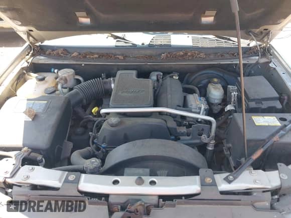 2005 Chevrolet TrailBlazer LT z VIN 1GNDS13S152379253, wystawiony jako IAAI lot #42863028 z przebiegiem Nie podano mil oraz . Historia ofert i sprzedaży dostępna na DreamBid. Obrazek 10.